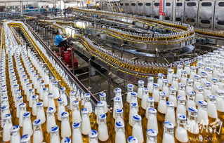 華潤雪花啤酒湘西工廠 旺季生產“火力全開”，推動區域產業升級